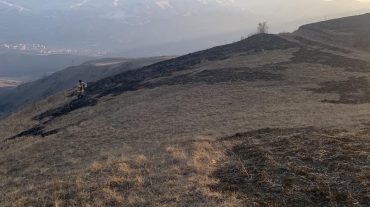 Հրդեհ Վանաձոր քաղաքի անտառամերձ հատվածում