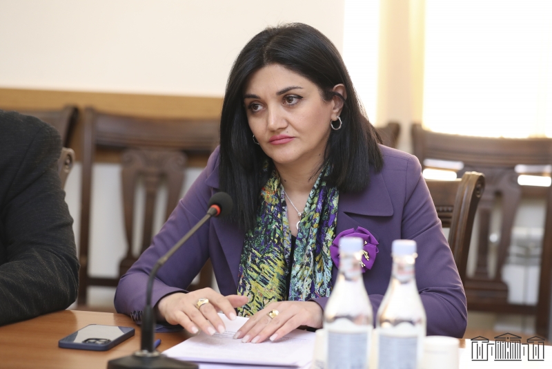 Քննարկվել է Հայաստանի և Կատարի կառավարությունների միջև առողջապահության բնագավառում համագործակցությանը վերաբերող համաձայնագիրը