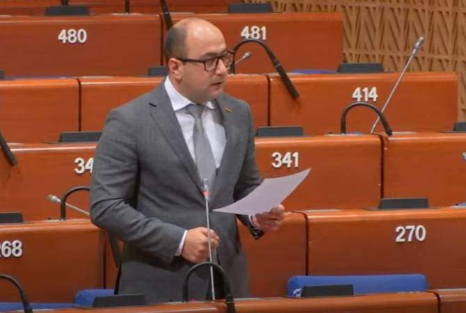 Մինչև ռեստորանում ընթրիք ընտրելը, հիշեք, որ ԼՂ 120 000 հայ մակարոնից, հնդկաձավարից բացի ընտրելու ոչինչ չունի․ Մամիջանյանը՝ ԵԽԽՎ-ում
