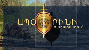 Գուգարքի ոստիկանները ապօրինի ծառահատման դեպք են բացահայտել
