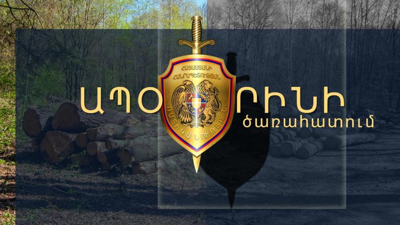 Գուգարքի ոստիկանները ապօրինի ծառահատման դեպք են բացահայտել
