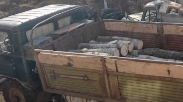 Եղեգնուտի հարակից անտառից ապօրինի հատել էր 30 կանգուն ծառ. Գուգարքի ոստիկանների բացահայտումները