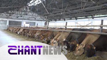 Արցախում անասնապահության ոլորտում խնդիրներ են ուրվագծվում