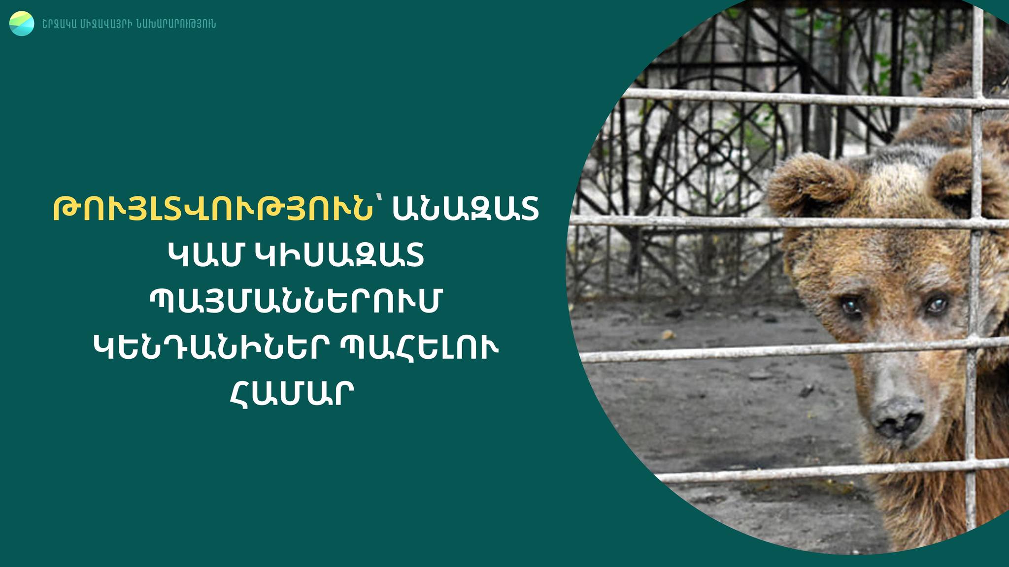 Ապրիլի 1-ից անազատ կամ կիսազատ պայմաններում վայրի կենդանիներ պահելու համար կպահանջվի պահման թույլտվություն