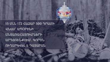15 մլն 172 հազար 500 դրամի վնաս՝ ապօրինի անտառահատումների հետևանքով