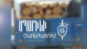 Ամիրյան փողոցում ակացիաներ են ապօրինի հատել