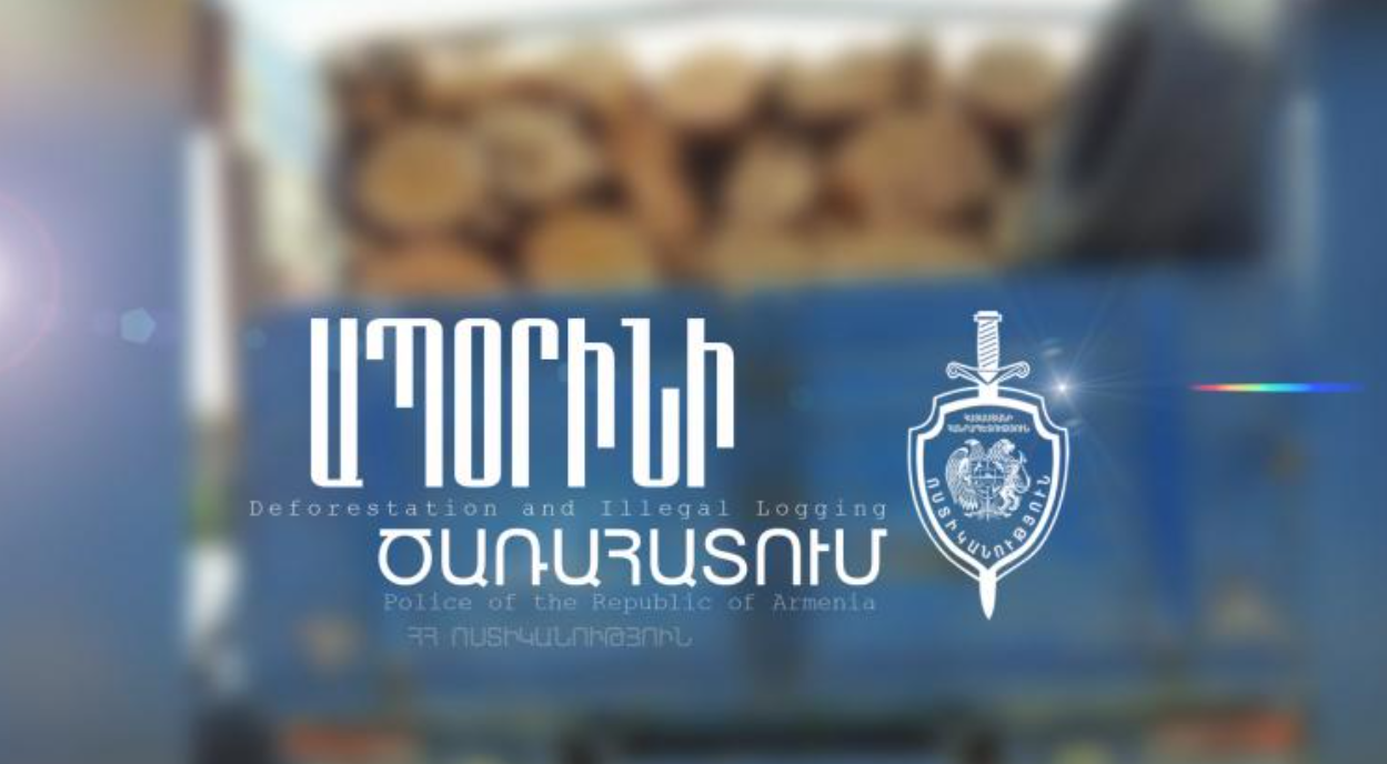 Ամիրյան փողոցում ակացիաներ են ապօրինի հատել
