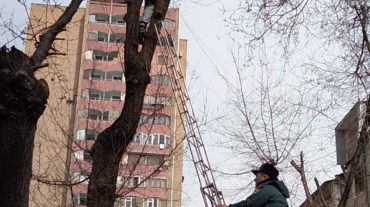 Փրկարարները ծառից իջեցրել են երեխային