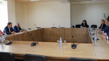 ԱԳ նախարարի տեղակալը հանդիպել է Շվեդիայի Ռիկսդագի Շվեդիա-Հայաստան պատգամավորական խմբի պատվիրակության հետ