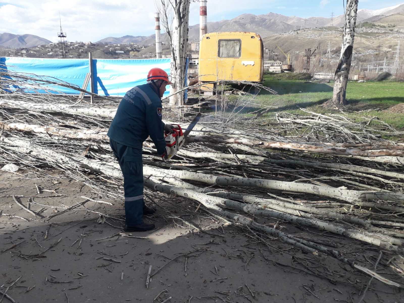 Վանաձոր քաղաքում բարդու ծառը տապալվել է՝ մասամբ հայտնվելով երթևեկելի գոտում