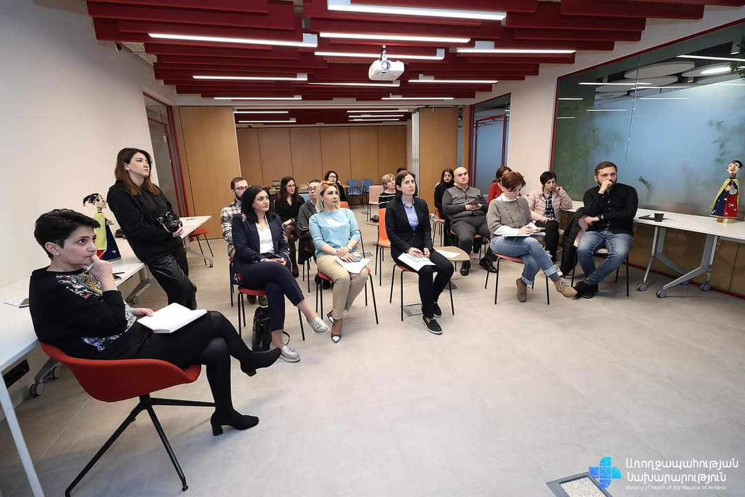 Լենա Նանուշյանը հանդիպել է հասարակական կազմակերպությունների ներկայացուցիչների հետ
