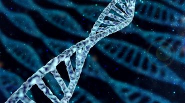 Գիտնականները 145 գեն են հայտնաբերել, որոնք նպաստում են մարդու աճին
