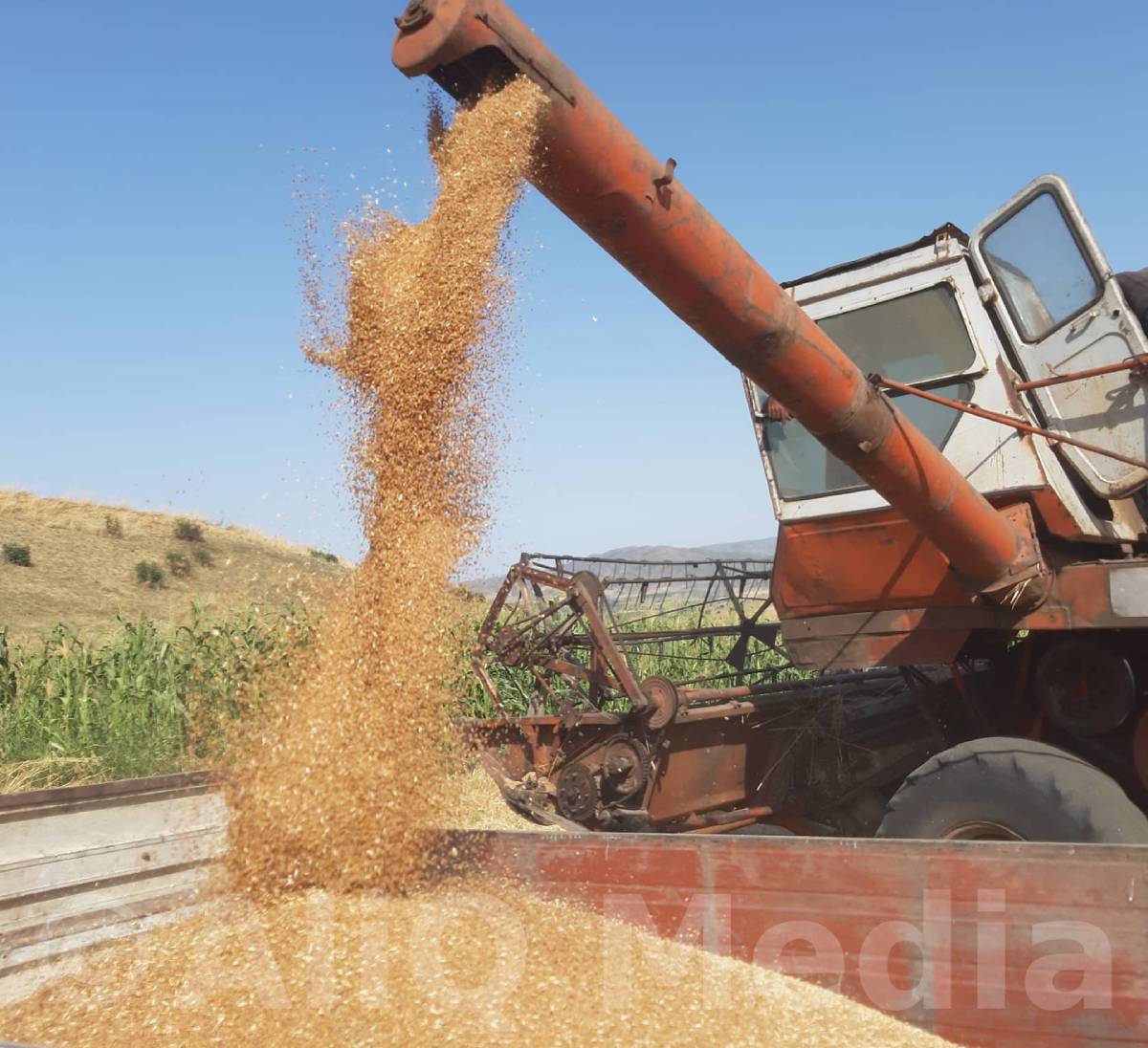 Որքան ցորեն է գնում Վրաստանն Ուկրաինայից