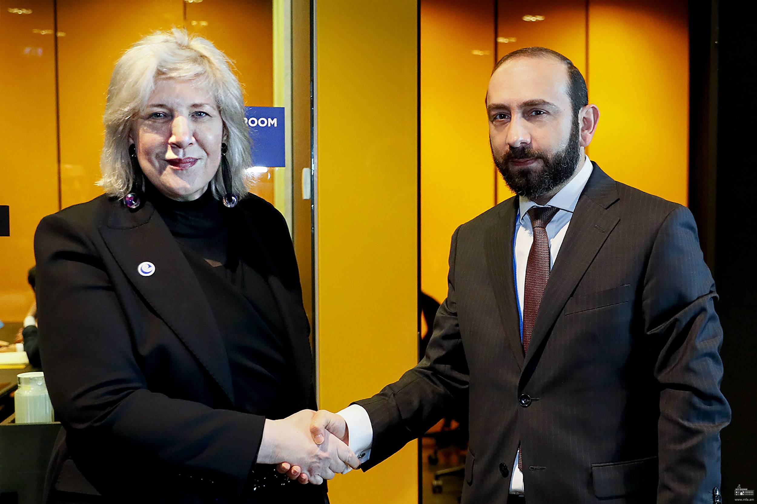 Արարատ Միրզոյանը հանդիպել է Եվրոպայի խորհրդի մարդու իրավունքների հանձնակատարի հետ