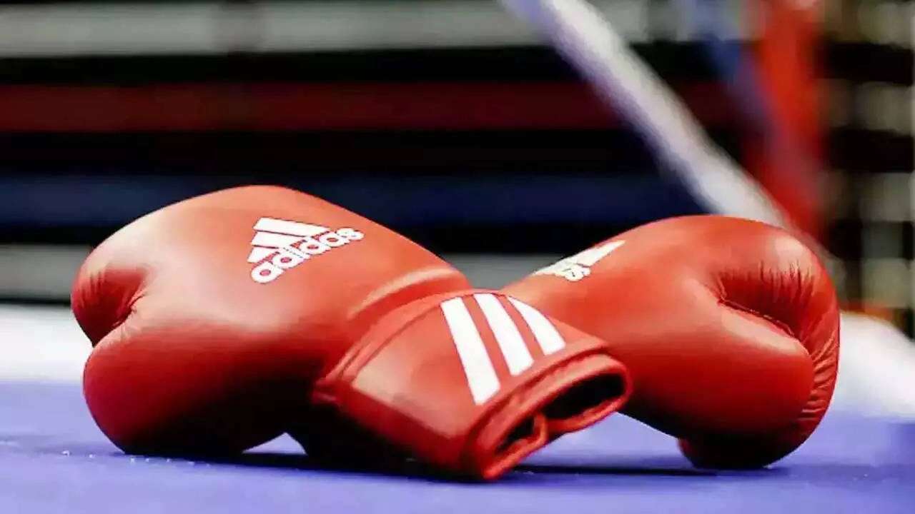 Համբարձում Հակոբյանը պարտվել է. բռնցքամարտի ԱԱ
