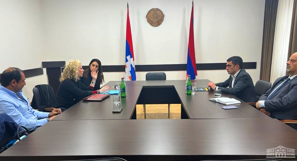 Արցախի ԱԳ նախարարն ընդունել է Լեմկինի անվան ինստիտուտի համահիմնադիրին և Արգենտինայի հայ համայնքի ներկայացուցիչների
