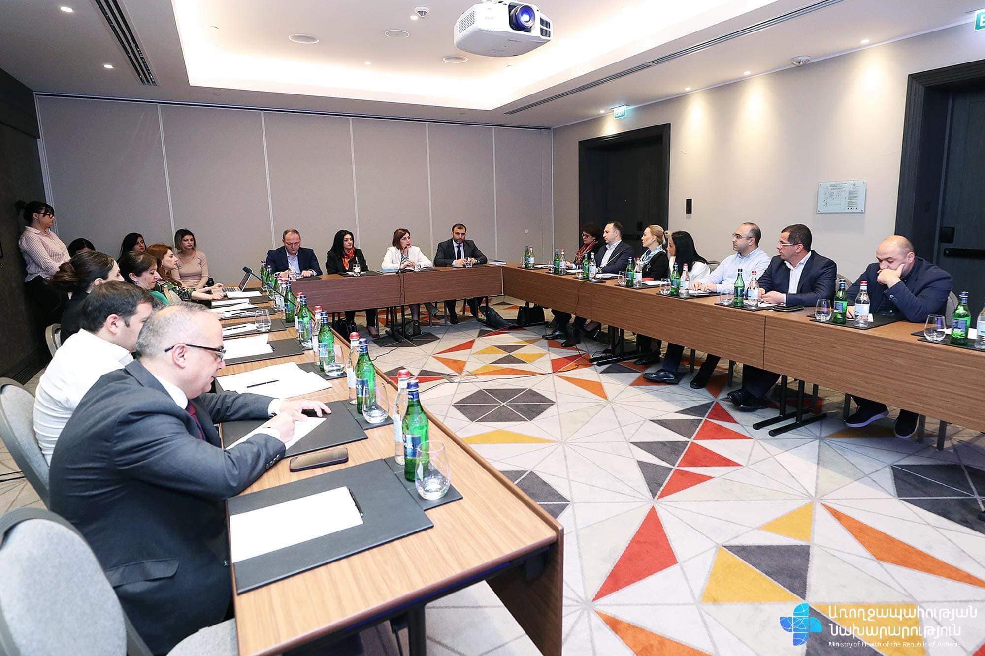 Անահիտ Ավանեսյանը հանդիպել է մասնավոր ապահովագրական ընկերությունների ներկայացուցիչների հետ