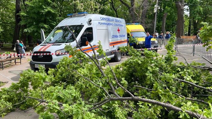 Սարատովում ընկած կաղնին երեխայի ու կնոջ մահվան պատճառ է դարձել
