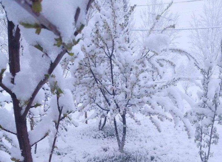 Գեղարքունիքում, Վայոց ձորի և Սյունիքի լեռնային գոտիներում դիտվել են ձյան առատ տեղումներ