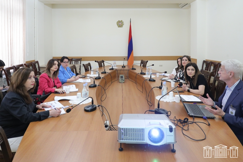 ԱԺ-ում ներկայացվել է ԱՄՆ ՄԶԳ ֆինանսավորմամբ իրականացվող «Պաշտպանություն, ներառում եւ հզորացում» ծրագիրը