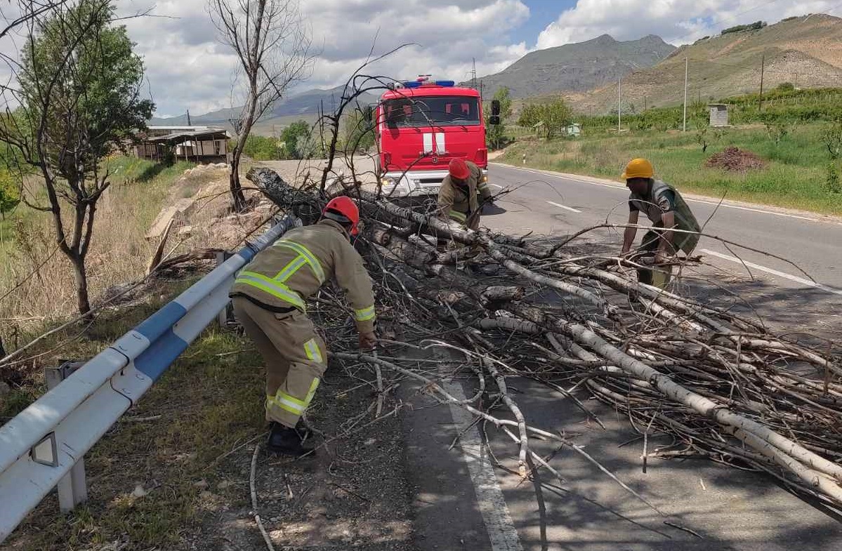 Ծառն ընկել է Երևան-Մեղրի ճանապարհի երթևեկելի հատված