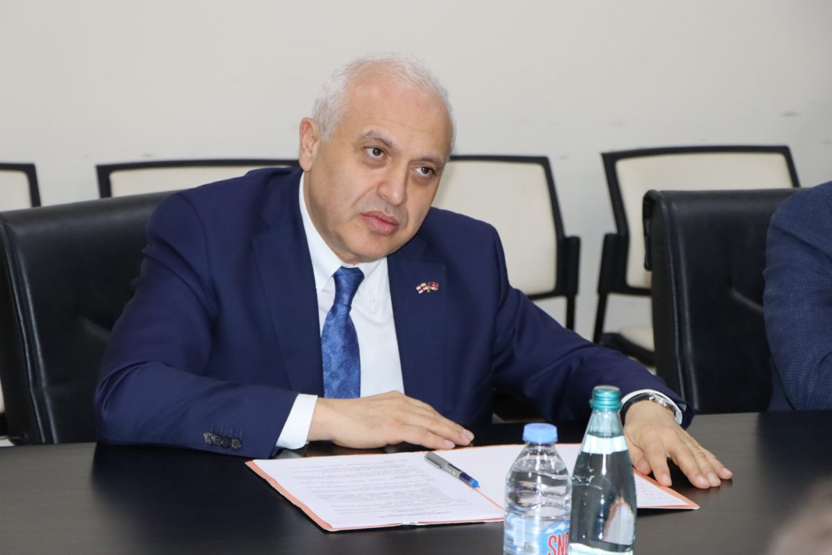 Դեսպան Սմբատյանը և Վրաստանի ֆիննախի եկամուտների ծառայության ղեկավարը քննարկել են բեռնափոխադրումներին վերաբերող հարցեր