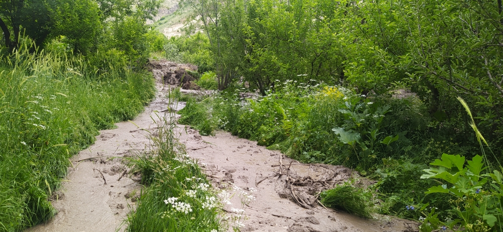 Քարագլուխ գյուղի «Կալեր» կոչվող տարածքում տեղի է ունեցել հողազանգվածի սահք