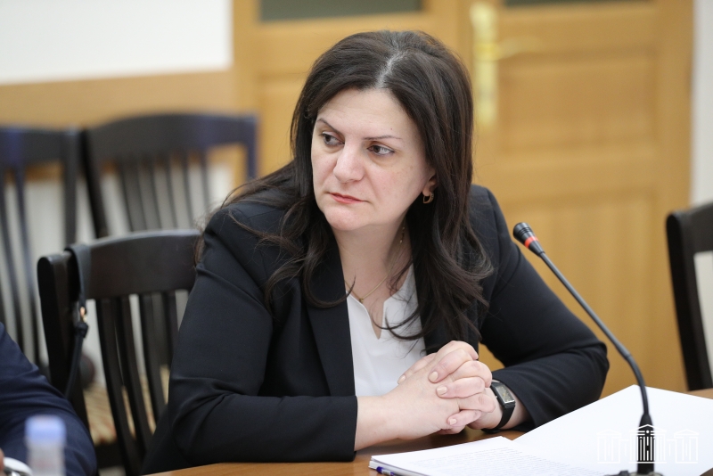 Պետությունը պայմաններ է ստեղծում, որ օտարերկրյա կազմակերպությունները բույսերի` երկրի համար կարեւոր սորտեր ներկրեն