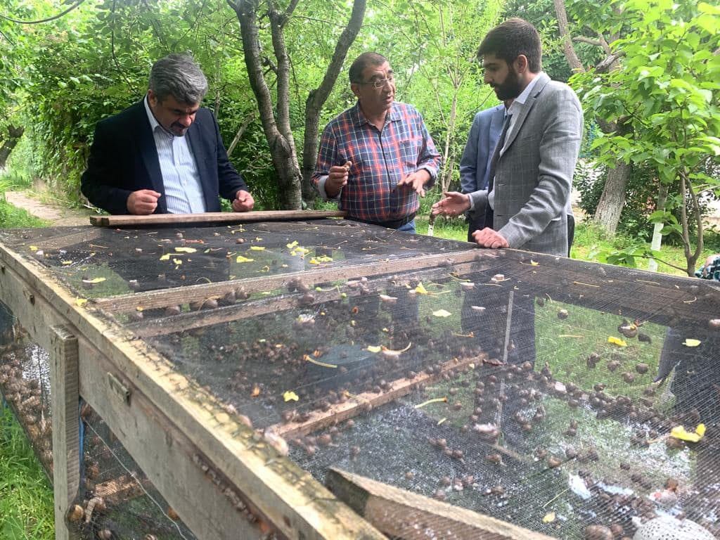 Արման Խոջոյանը Բյուրականում այցելել է խխունջների բուծմամբ զբաղվող տնտեսություն
