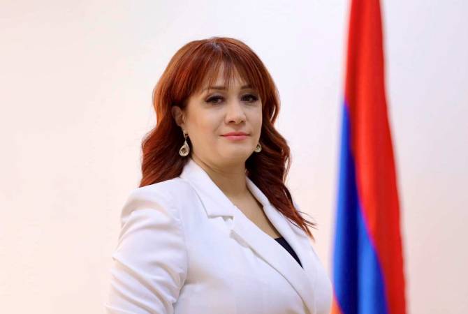 Հասկանում ենք իրավիճակը միջազգային հանրությանն ավելի տեսանելի դարձնելու քաղաքացիական քայլերը․ վարչապետի խոսնակը՝ Արցախում մեկնարկած շարժման մասին