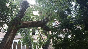 Երևանում քամու հետևանքով կոտրվել են ծառեր և վնասվել թիթեղներ