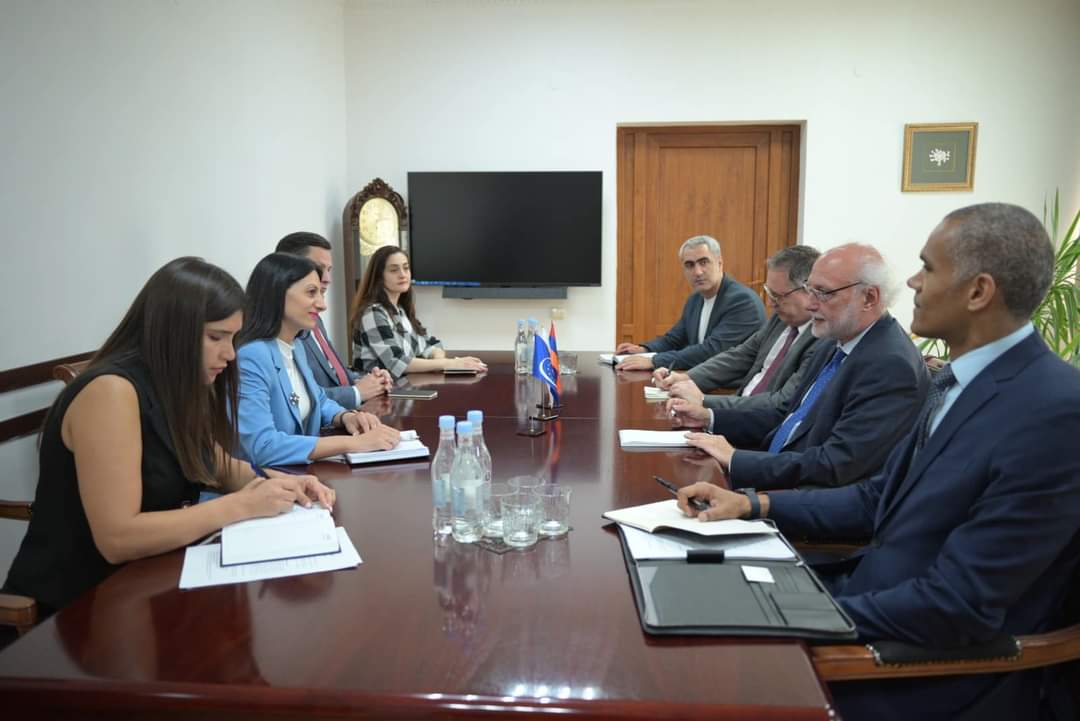 ՄԻ պաշտպանը ԵԽ ներկայացուցիչներին ներկայացրել է սահմանամերձ բնակավայրերի բնակիչների իրավունքների պաշտպանության վիճակը