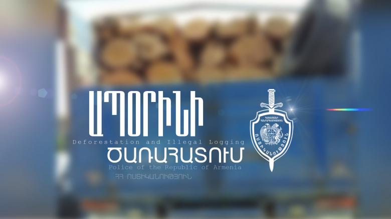 Իջևանի ոստիկանները ապօրինի ծառահատման դեպք են բացահայտել