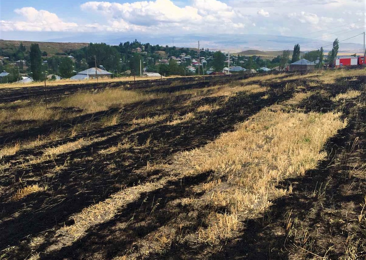 Այրվել է մոտ 10 հա խոտածածկույթ