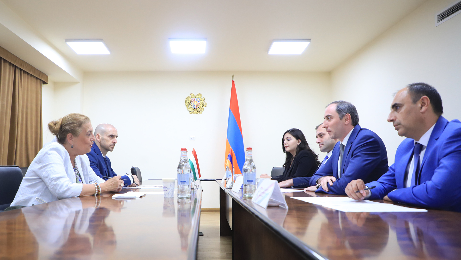 ԲՏԱ նախարարը Հունգարիայի դեսպանի հետ քննարկել է երկկողմ հետաքրքրություն ներկայացնող հարցեր