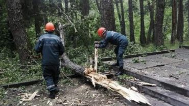 Ջերմուկում ծառի ճյուղը պոկվել և ընկել է այգու ճեմուղու վրա