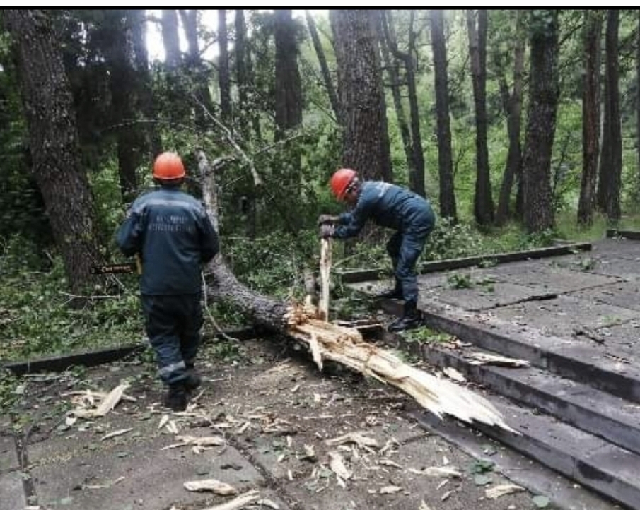 Ջերմուկում ծառի ճյուղը պոկվել և ընկել է այգու ճեմուղու վրա