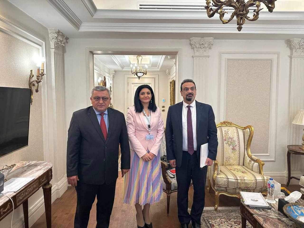 Լենա Նանուշյանը հանդիպել է Եգիպտոսի Առողջապահության և բնակչության նախարարի հետ