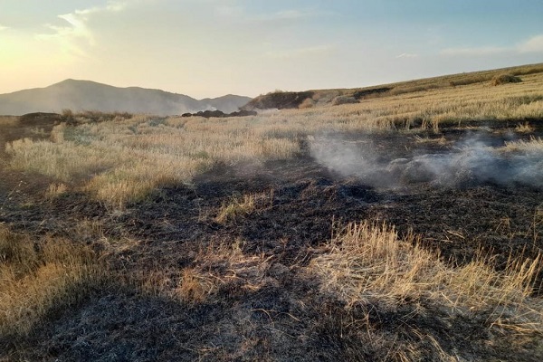 Մովսես գյուղում այրվել է խոտածածկույթ