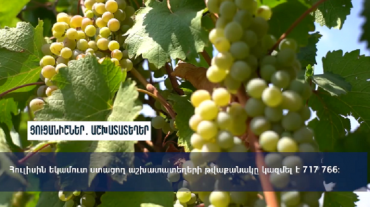 1 տրլն 265 մլրդ դրամ հարկային եկամուտներ և պետական տուրքեր, աշխատատեղերի աճ.  ՊԵԿ-ն ամփոփում է օգոստոսը