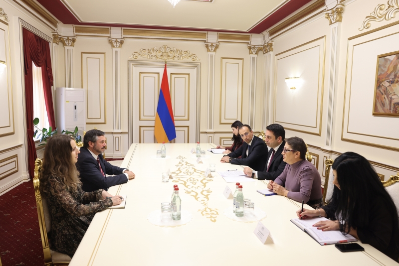 Լիտվայի դեսպանն Ալեն Սիմոնյանին առաջարկել է տեսազանգի միջոցով միջխորհրդարանական քննարկում իրականացնել
