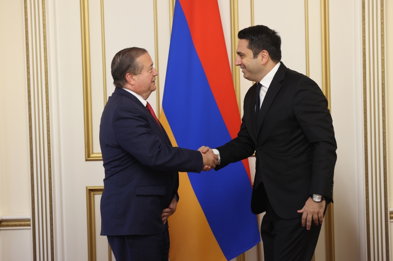 Կարևորվել է Ազգային ժողով-Միջազգային հանրապետական ինստիտուտ համագործակցության շարունակականությունը