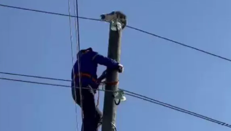 Դաղստանում էլեկտրատեխնիկը փրկել է կատվին, որը բարձրացել է հենասյան վրա