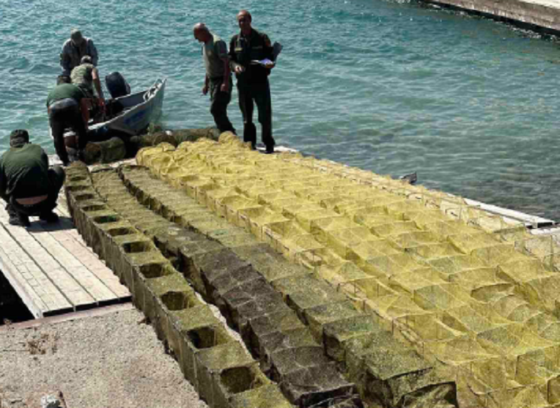 Սևանա լճից դուրս է բերվել 274 հատ խեցգետնորսից, 136 կենդանի խեցգետին վերադարձվել է լիճ