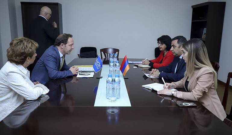 ԱԳ նախարարի տեղակալ Վահե Գևորգյանն ընդունել է Միգրացիայի միջազգային կազմակերպության տարածաշրջանային տնօրեն Մանֆրեդ Պրոֆազիին