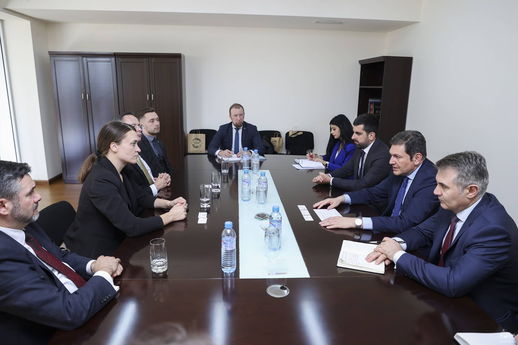 ՀՀ ԱԳ նախարարի տեղակալ Պարույր Հովհաննիսյանի հանդիպումը Լիտվայի Սեյմասի փոխնախագահ Ռադվիլե Մորկունայտե-Միկուլիենեի հետ