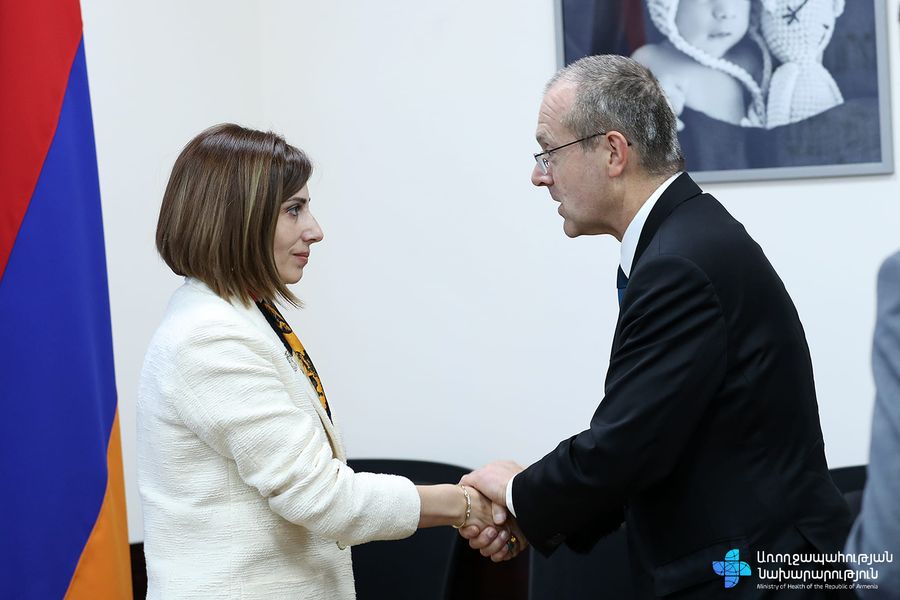 Վերջին տասը ամիսներին ԼՂ-ում հումանիտար իրավիճակի հետ կապված ակնկալում էինք ԱՀԿ-ի հստակ գնահատականը. Անահիտ Ավանեսյան