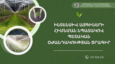 Ովքե՞ր և ինչպե՞ս կարող են օգտվել ինտենսիվ այգիների հիմնման նպատակով պետական աջակցության ծրագրից. Էկոնոմիկայի նախարարություն