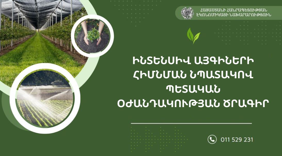 Ովքե՞ր և ինչպե՞ս կարող են օգտվել ինտենսիվ այգիների հիմնման նպատակով պետական աջակցության ծրագրից. Էկոնոմիկայի նախարարություն