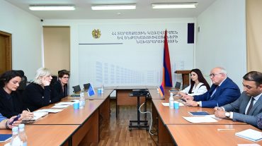 Վաչե Տերտերյանն ընդունել է ԵԽ մարդու իրավունքների հանձնակատար Դունյա Միյատովիչին
